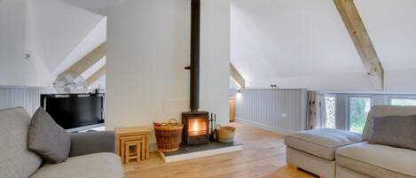 Una televisión, una chimenea