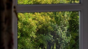 A window with a view of a green landscape, including trees and hills.