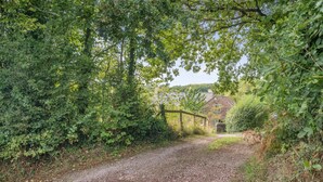 A rural road leading to a stone house surrounded by dense greenery.