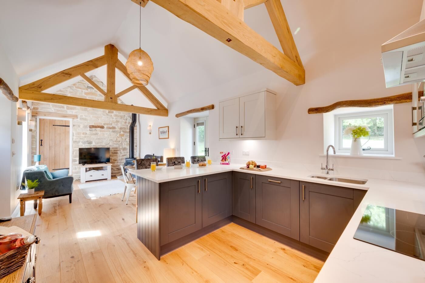 Microondas, horno, lavavajillas y periquera 