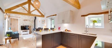 Microondas, horno, lavavajillas y periquera