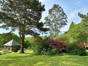 المنطقة المحيطة بالمنشأة