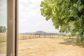 A rural landscape with a fence, trees, and a distant hill.