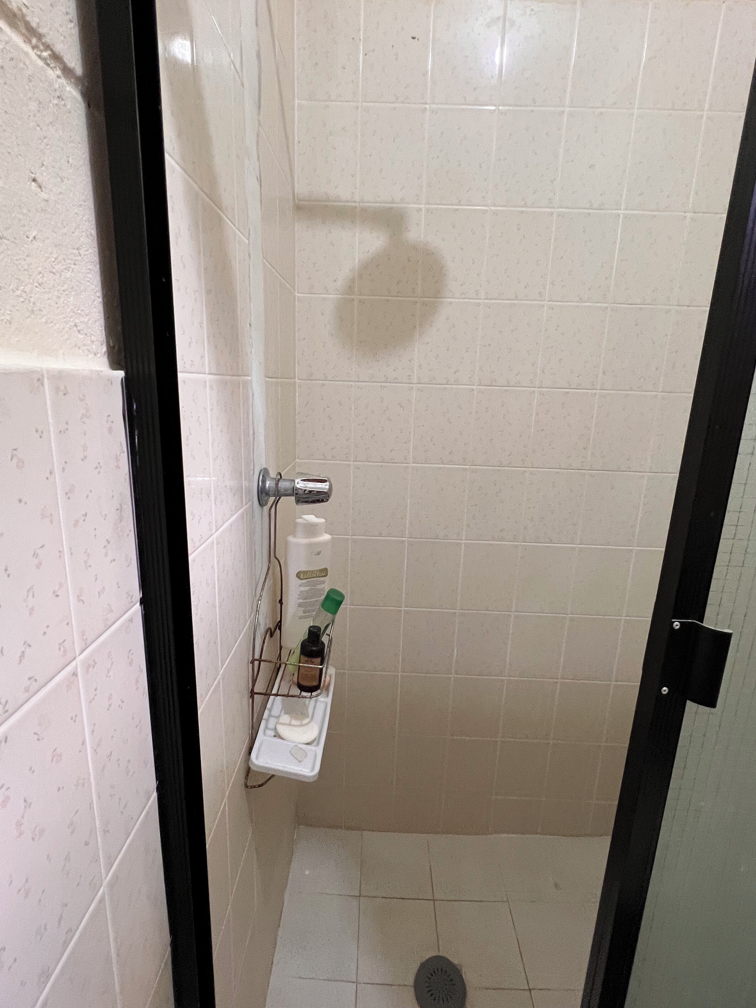 Dusche, Bidet, Handtücher