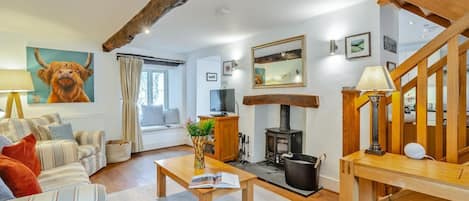 TV, fireplace