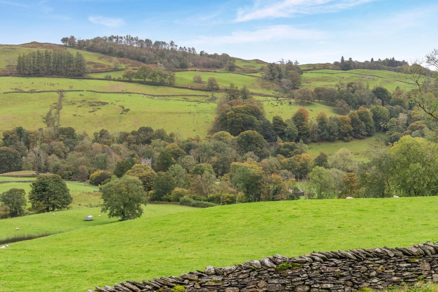A rural landscape with rolling hills, scattered trees, and a stone wall in the foreground.