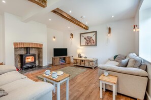 Fernseher, Kamin