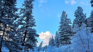 Ein Fluss, umgeben von schneegebäckten Bäumen und einem klaren Himmel.