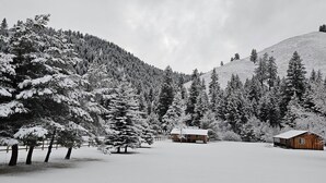 Eine Hütte, umgeben von schneebedeckten Bäumen und einem Hügel.