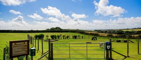 Overnattingsstedets uteområder