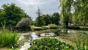 A serene pond surrounded by lush greenery and trees. - 2 Bed in Rumburgh (oc-dgf) (Rumburgh)