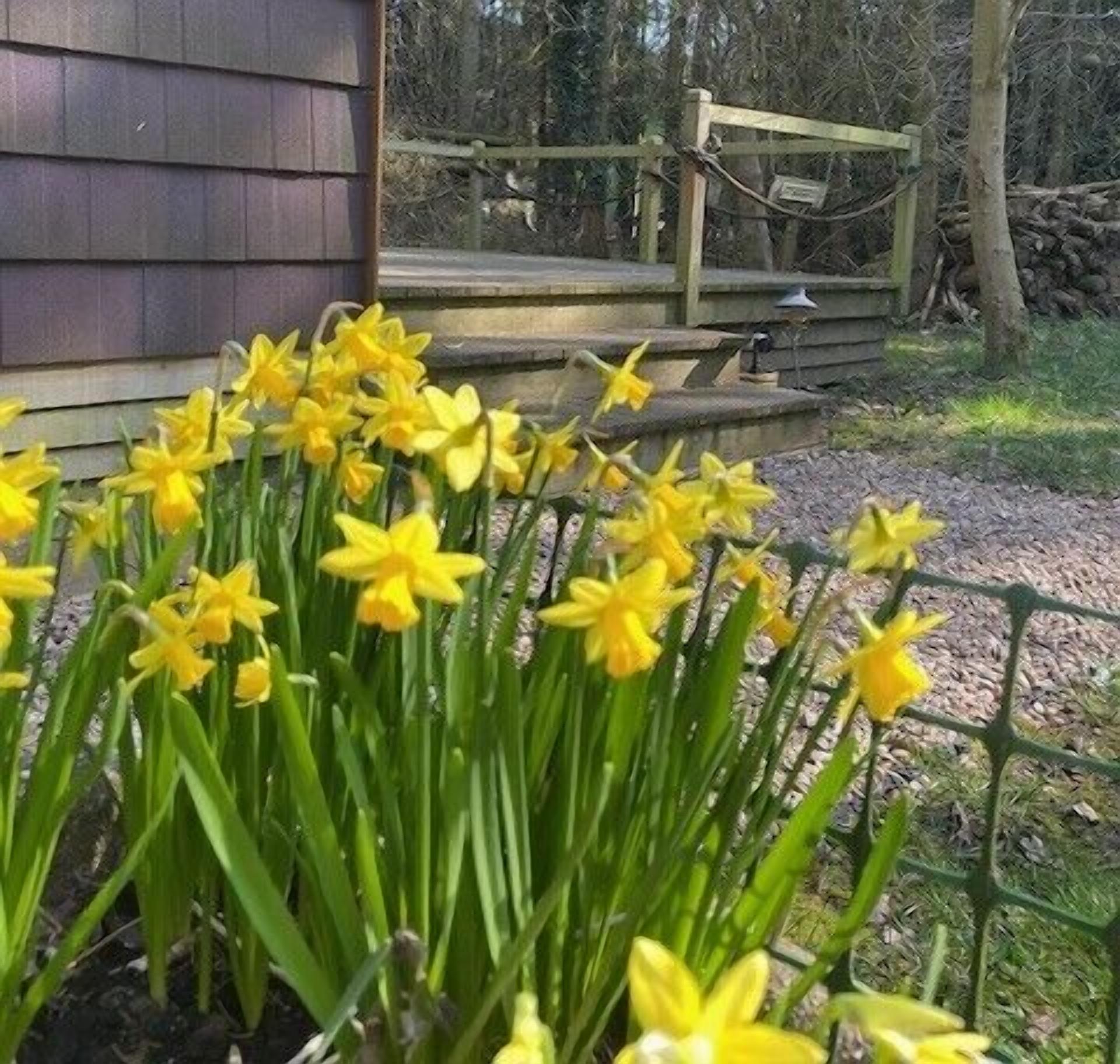 Details aan de buitenkant