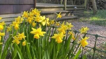 Details aan de buitenkant