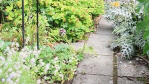 Een tuinpad dat naar een tuinhuis leidt.