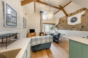 TV, fireplace - 1 Bed in Moylegrove (oc-b33506) (Cardigan)