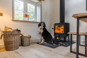 A cozy room with a fireplace, a wicker basket, and a dog. - 2 Bed in Moylegrove (oc-f33508) (Cardigan)