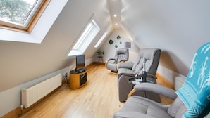 Ein modernes Schlafzimmer im Loft-Stil mit Dachfenstern, einem Flachbildfernseher, einer Couch und einem Liegesessel.