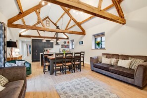 TV, fireplace - 4 Bed in Dinas Mawddwy (oc-bow305) (Brithdir and Llanfachreth)