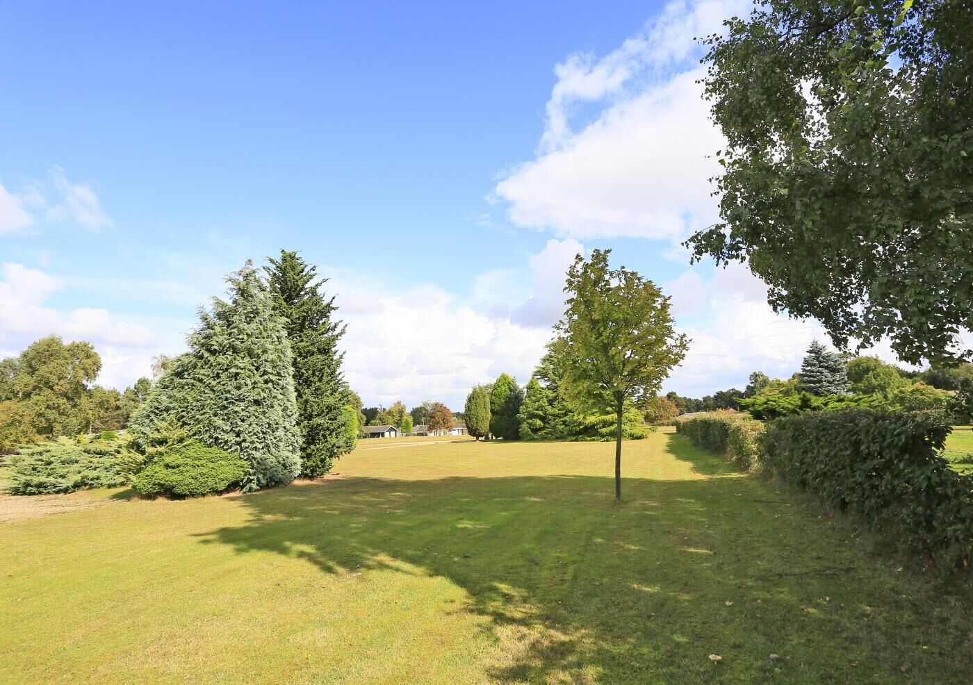 Un parc avec un terrain herbeux, des arbres et un ciel dégagé.