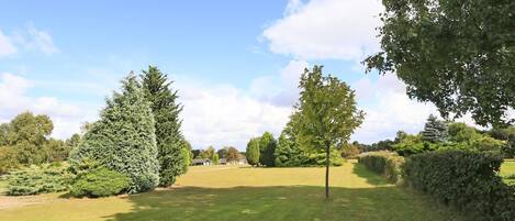 Un parc avec un terrain herbeux, des arbres et un ciel dégagé.