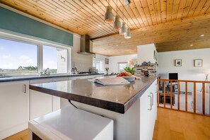 Microondas, horno, lavavajillas y periquera 