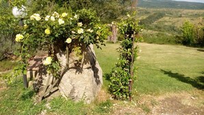 Ein Garten mit einem großen Felsen, Kletterpflanzen und einem Weg.