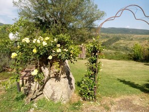 Property grounds - Casale Pievevecchia – Rustic Elegance Near Santa Fiora and Hot Springs (Santa Fiora)