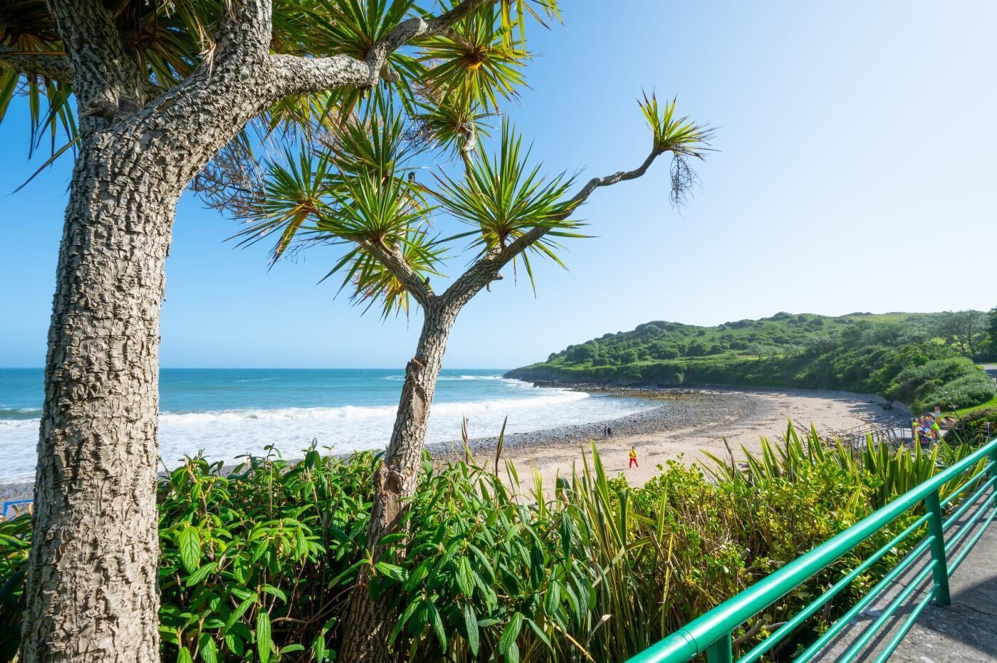 Eine Küstenlandschaft mit Strand, Baum und Geländer.