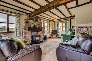 TV, fireplace - 2 Bed in Welshpool (oc-75703) (Meifod)