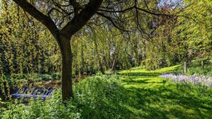 A lush garden with a variety of plants and a small stream. - 1 Bed in Embleton (oc-566732) (Embleton)