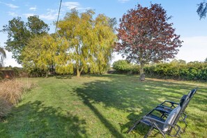 A grassy outdoor area with a bench and trees.