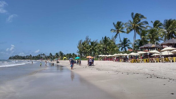 Una spiaggia con palme, ombrelloni e lettini.