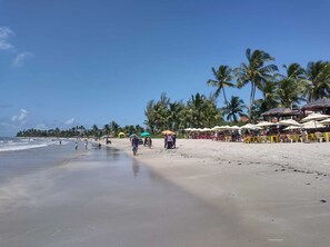 Una spiaggia con palme, ombrelloni e lettini.