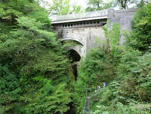 A stone bridge with an arch over a narrow waterway, surrounded by dense greenery.
