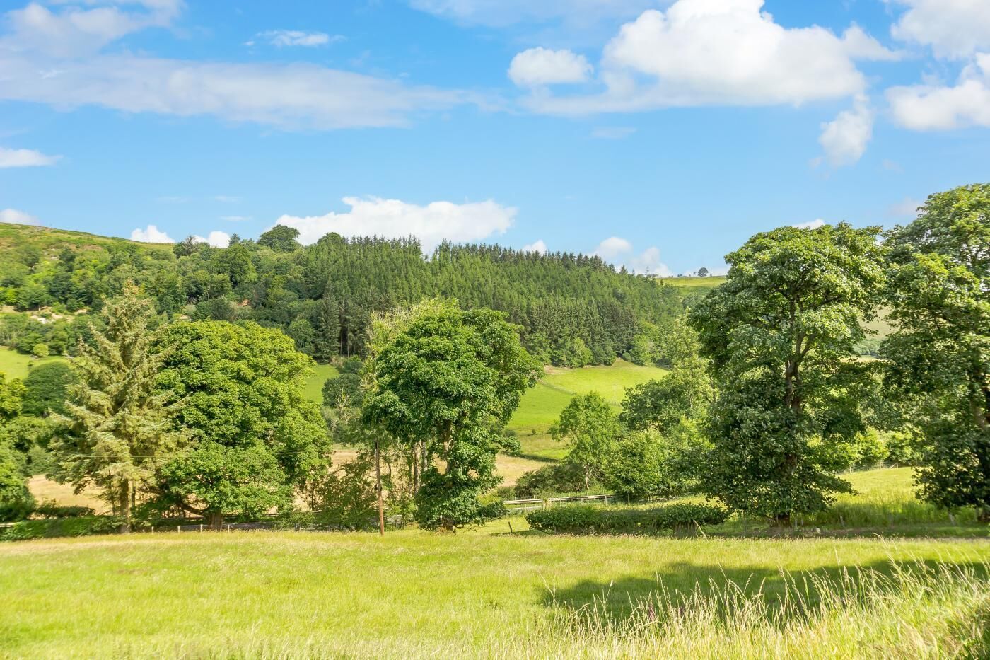 A lush green landscape with rolling hills and a variety of trees.