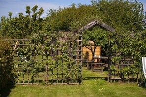 Property grounds - 3 Bed in Nr Beadnell (oc-566800) (Beadnell)