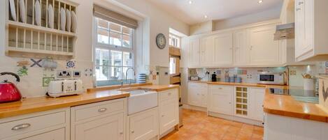 Microondas, horno, lavavajillas y periquera