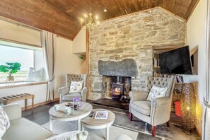 TV, fireplace