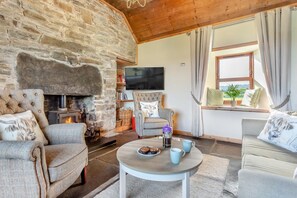 TV, fireplace