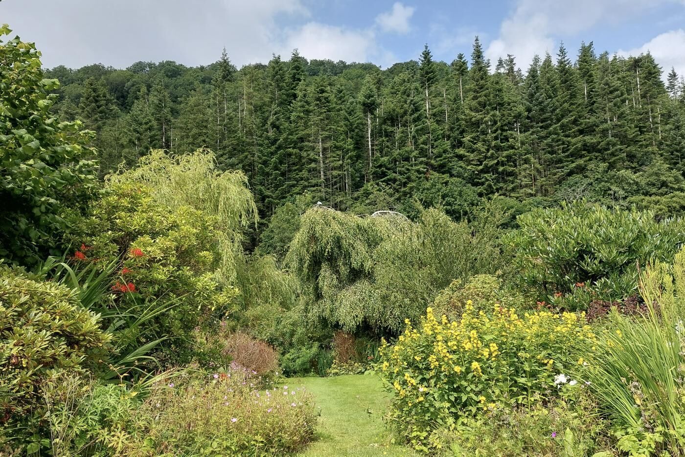 Área da propriedade