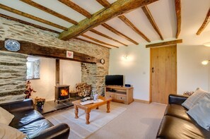 TV, fireplace - 3 Bed in Machynlleth (oc-415059) (Aberhosan)
