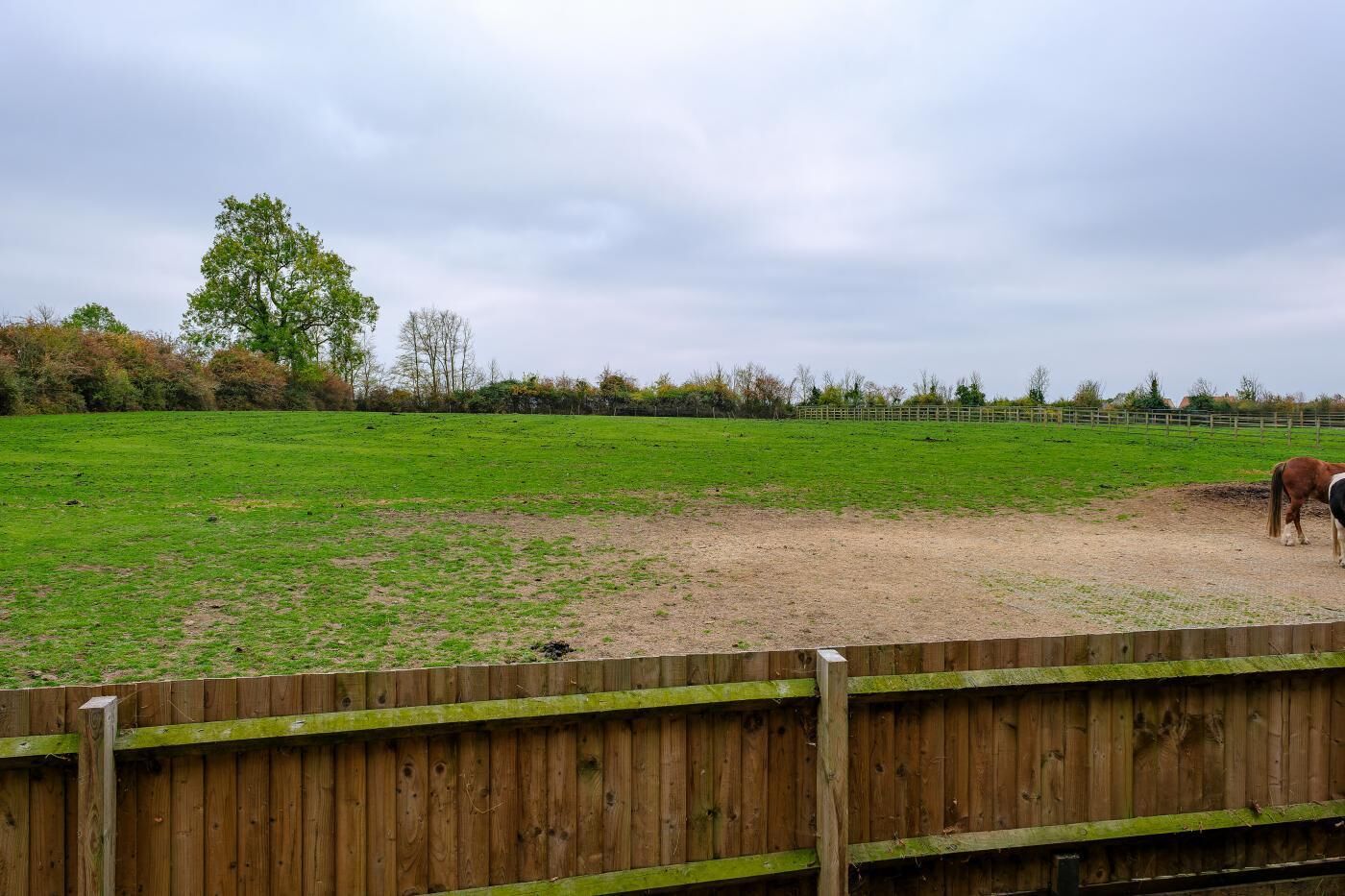 A fenced outdoor area with a horse.