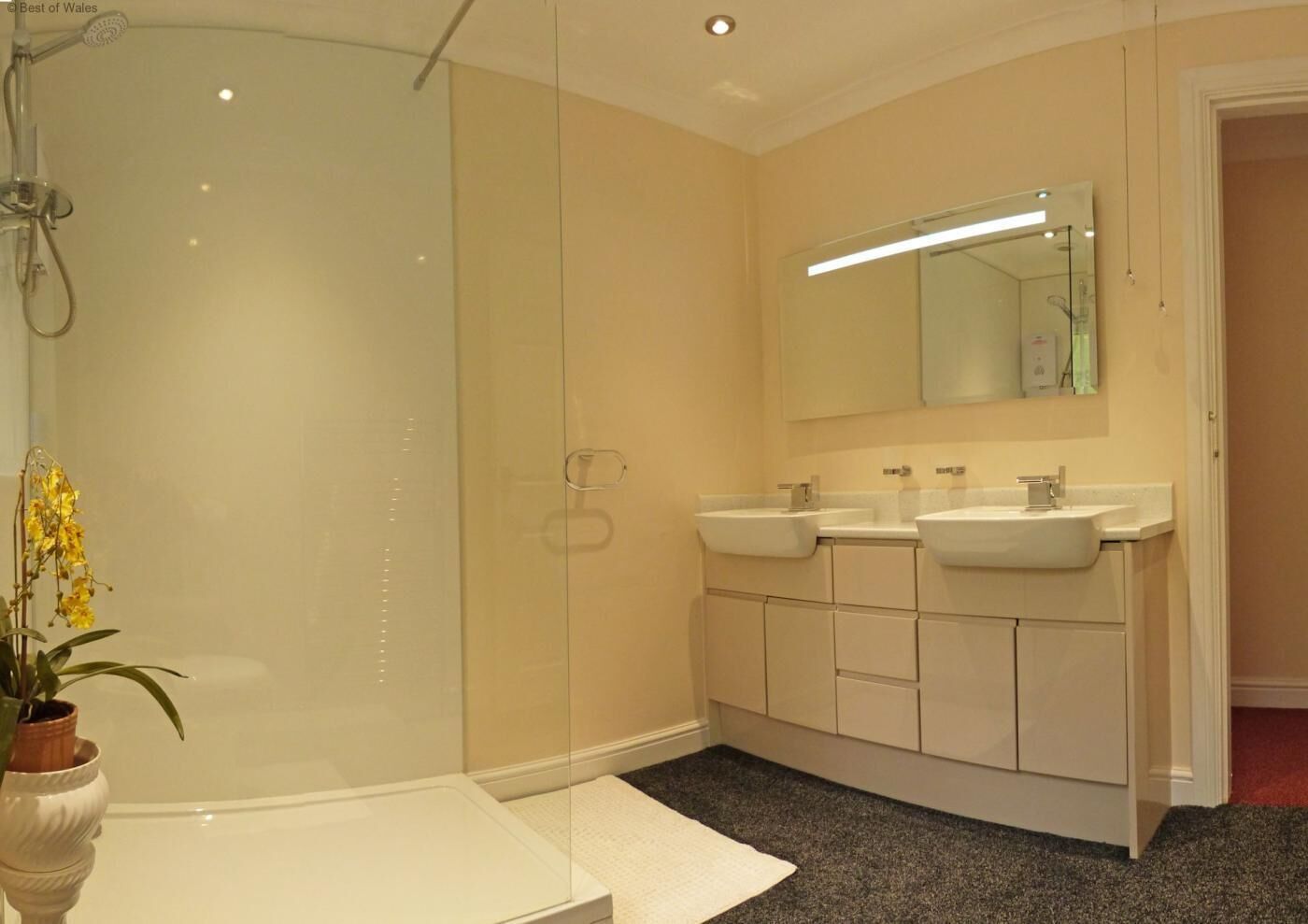 Een moderne badkamer met een ruime douche, twee wasbakken, een grote spiegel en een plant in pot.