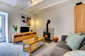TV, fireplace - 1 Bed in Penzance (oc-carthe) (Newbridge)