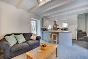 TV, fireplace - 1 Bed in Penzance (oc-carthe) (Newbridge)