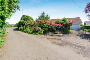 Uma estrada rural com um edifício branco à direita, cercado por vegetação exuberante e plantas floridas.