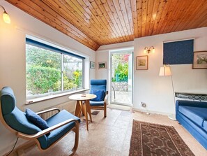 تلفزيون، مدفأة