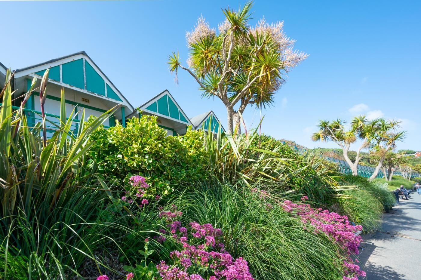 المنطقة المحيطة بالمنشأة