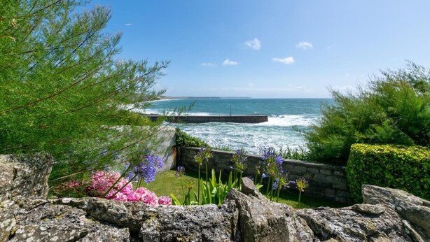 A coastal view with a stone wall, flowering plants, and a clear blue sky.