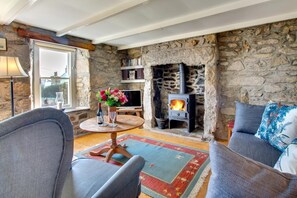 TV, fireplace - 3 Bed in Mousehole (oc-bumble) (Mousehole)